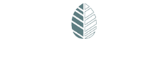 Palmar Logo